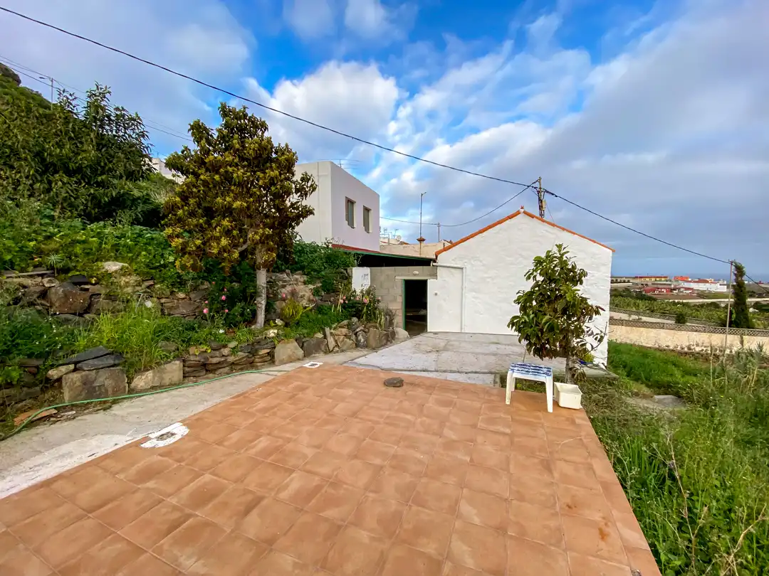 Vista exterior de Finca rústica en venta en Moya (Las Palmas)