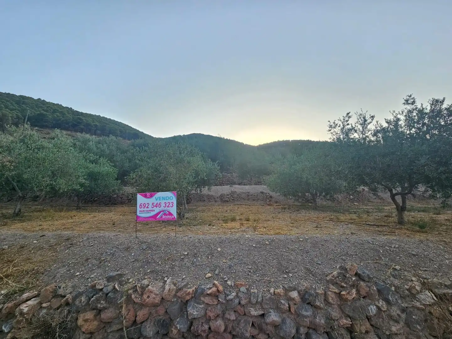 Finca rústica en venda en Fondón