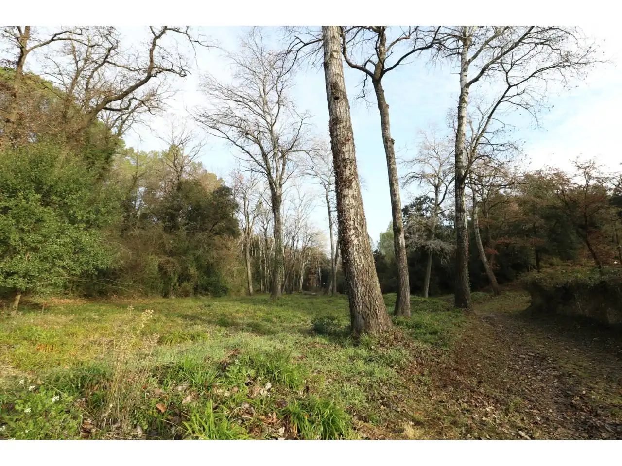 Land for sale in Sentmenat