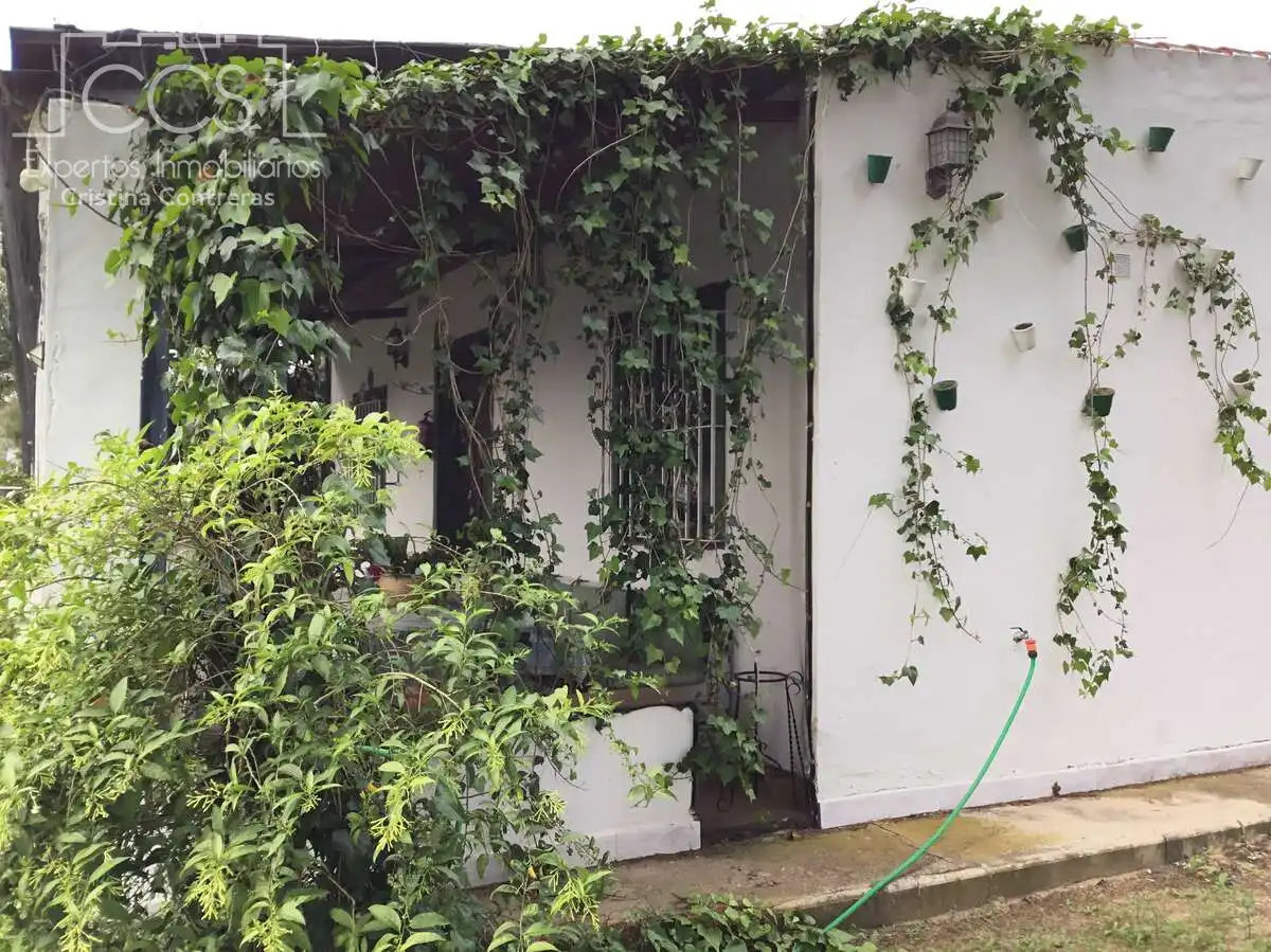 Country house with pool for sale in Almonte ciudad