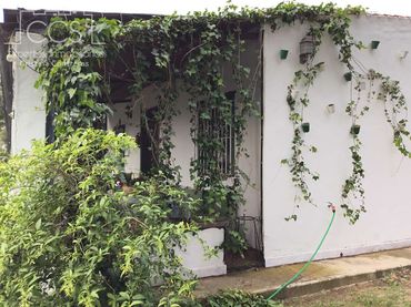 Casa rustica con piscina in vendita a Almonte ciudad