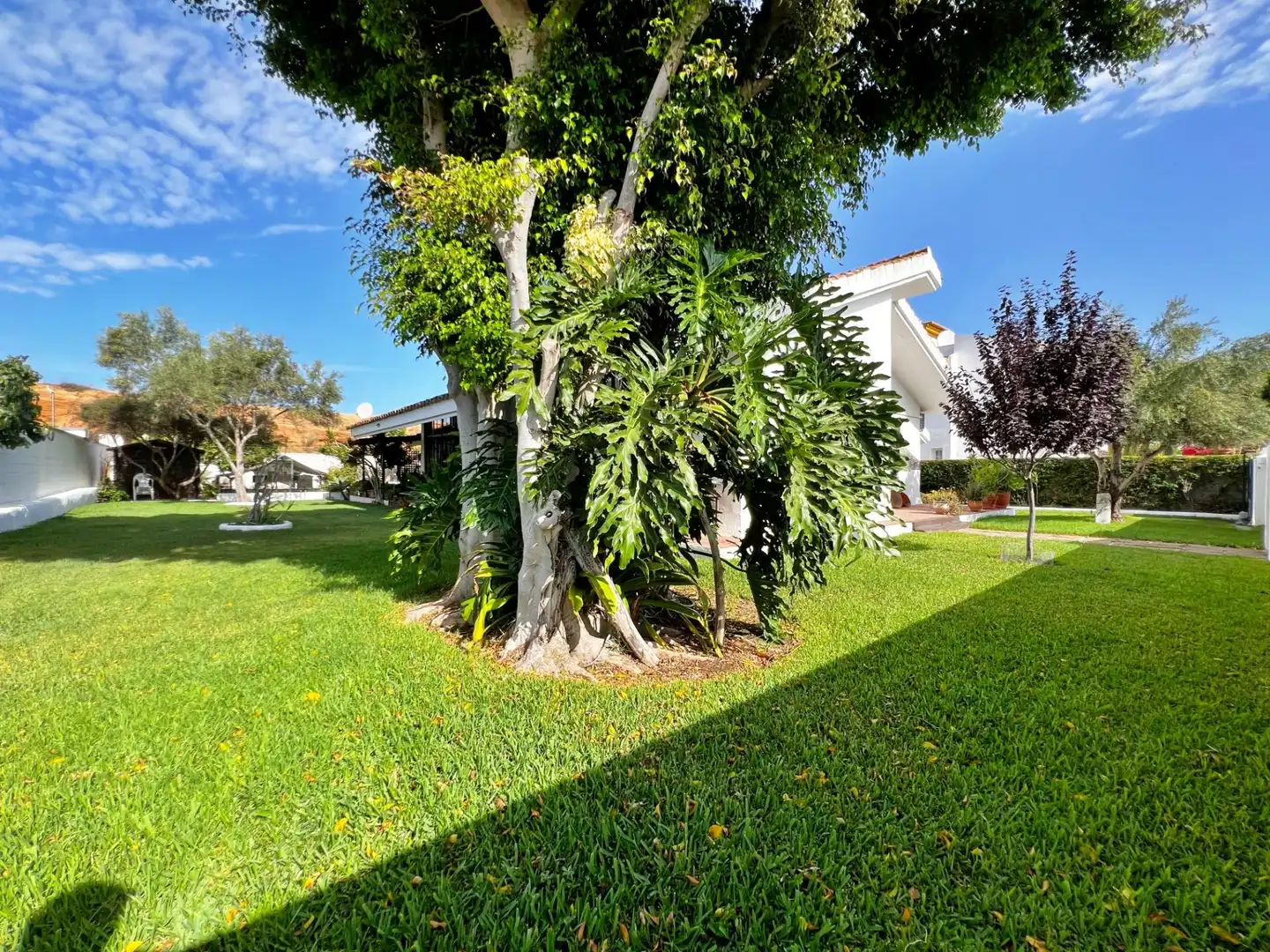 Xalet amb jardí en venda a Calle BRECA, imagen 6