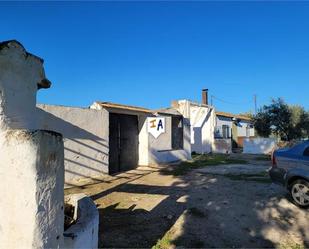 Vista exterior de Finca rústica en venda en Écija