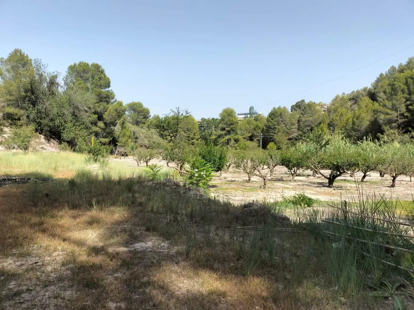 Local en venta en L'Alcúdia de Crespins