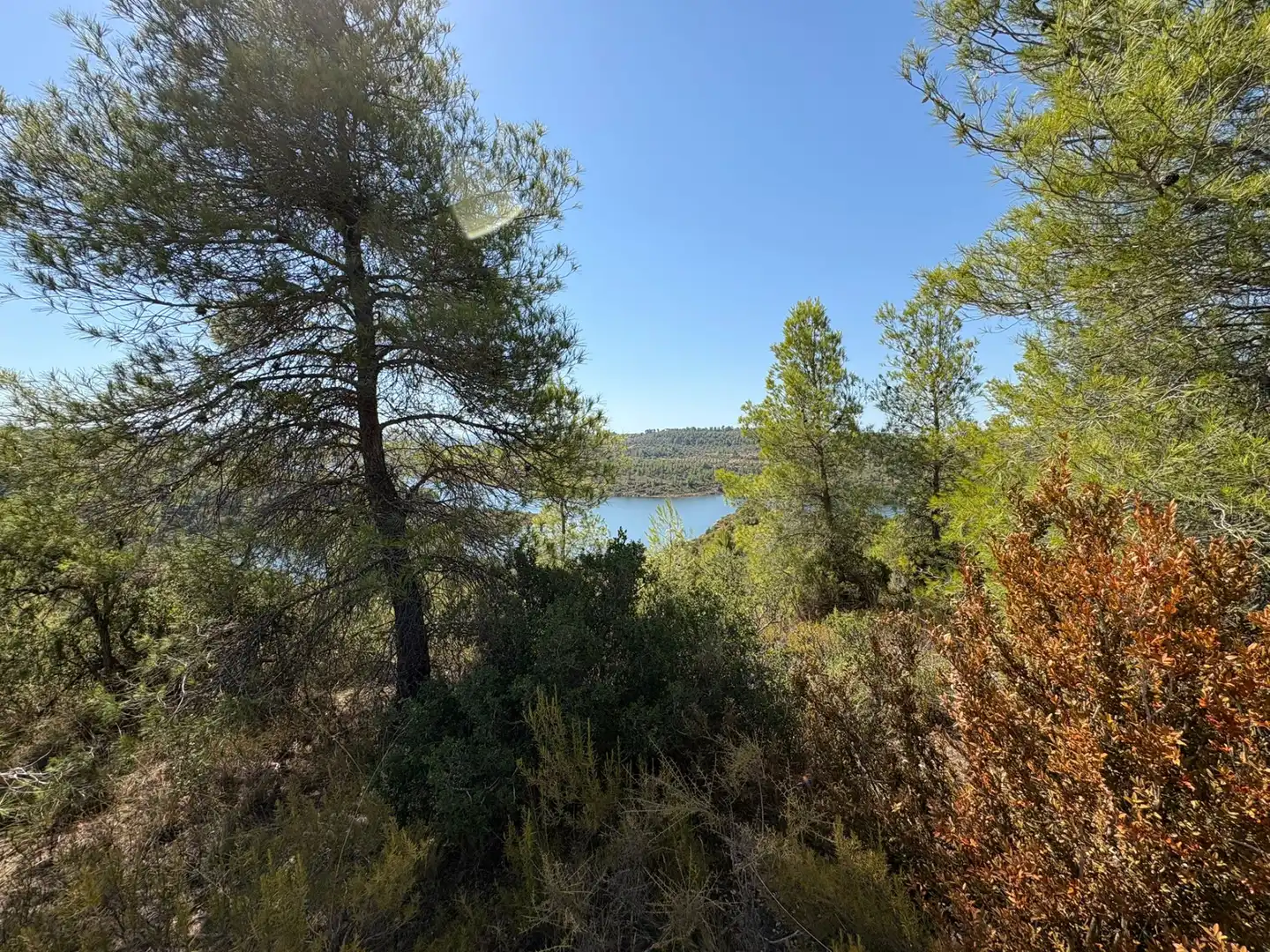 Terreno rustico in vendita a Cervià de Les Garrigues, imagen 13