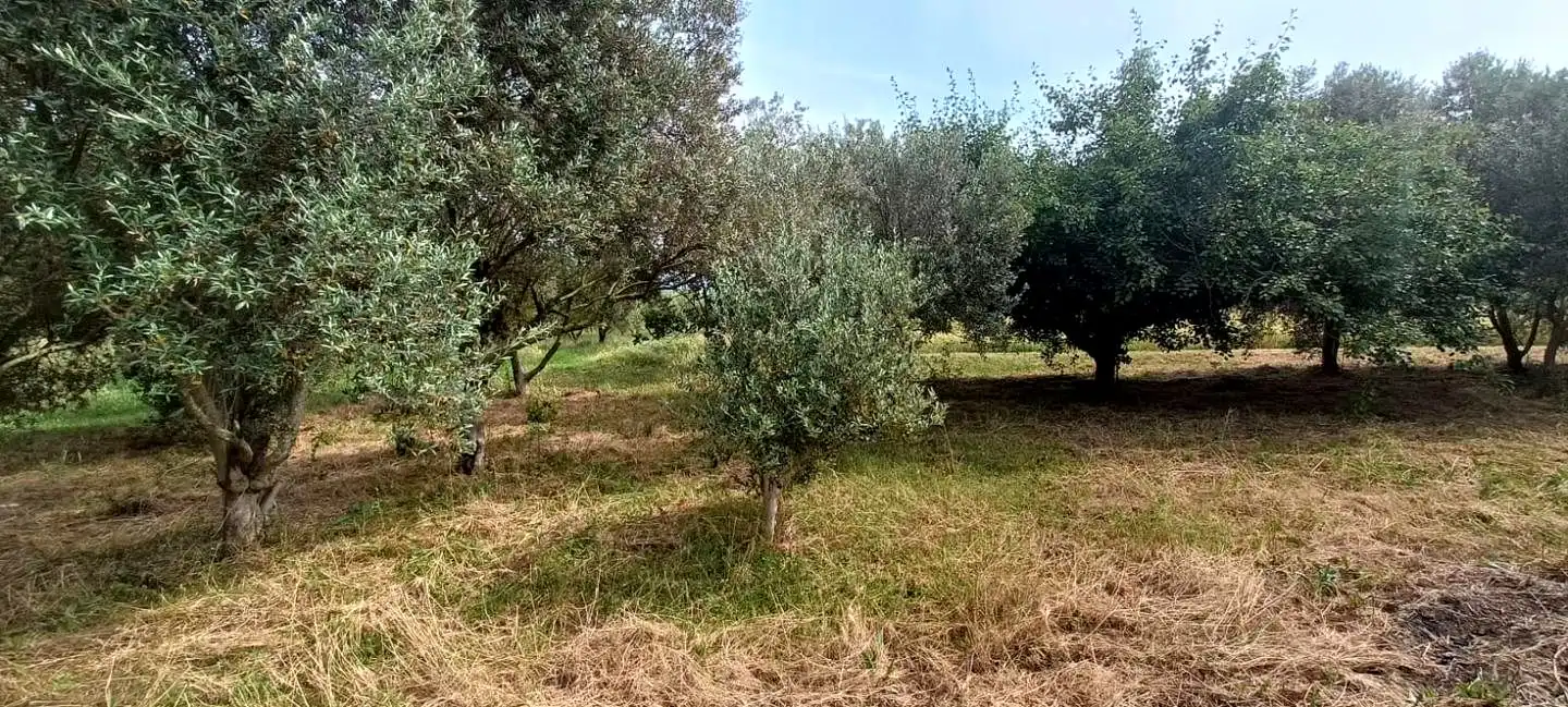 Finca rústica en venta en Mendavia con Jardín privado