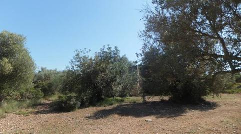 Foto 3 de Finca rústica en venda a Grau - Quintanes, Tarragona