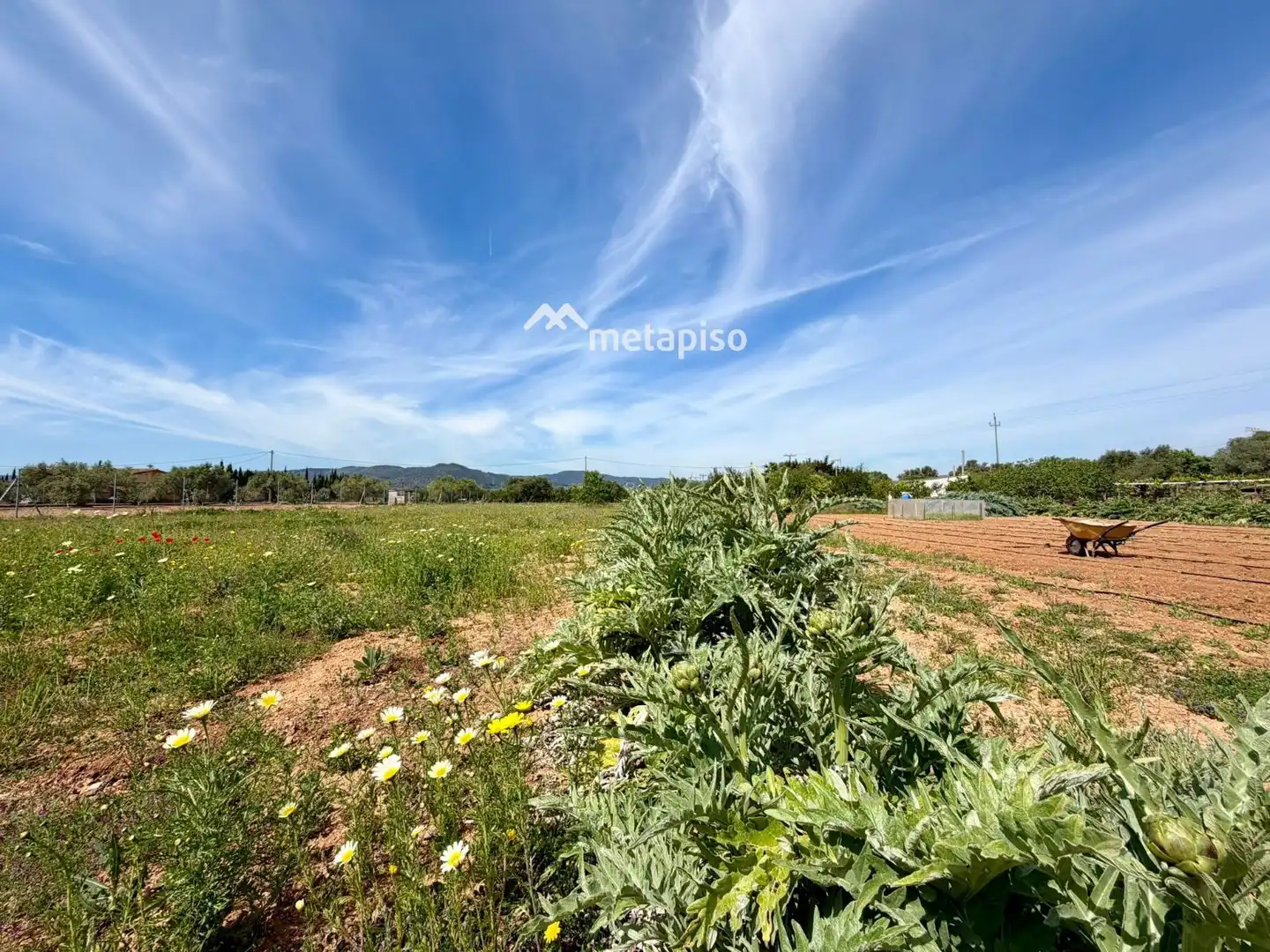 Terreno rustico in vendita a Santa Oliva, imagen 57