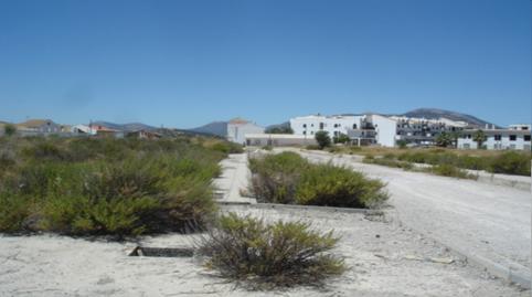 Foto 5 von Grundstücke zum Verkauf in Plan Parcial 1, Área 3, Iznalloz, Granada