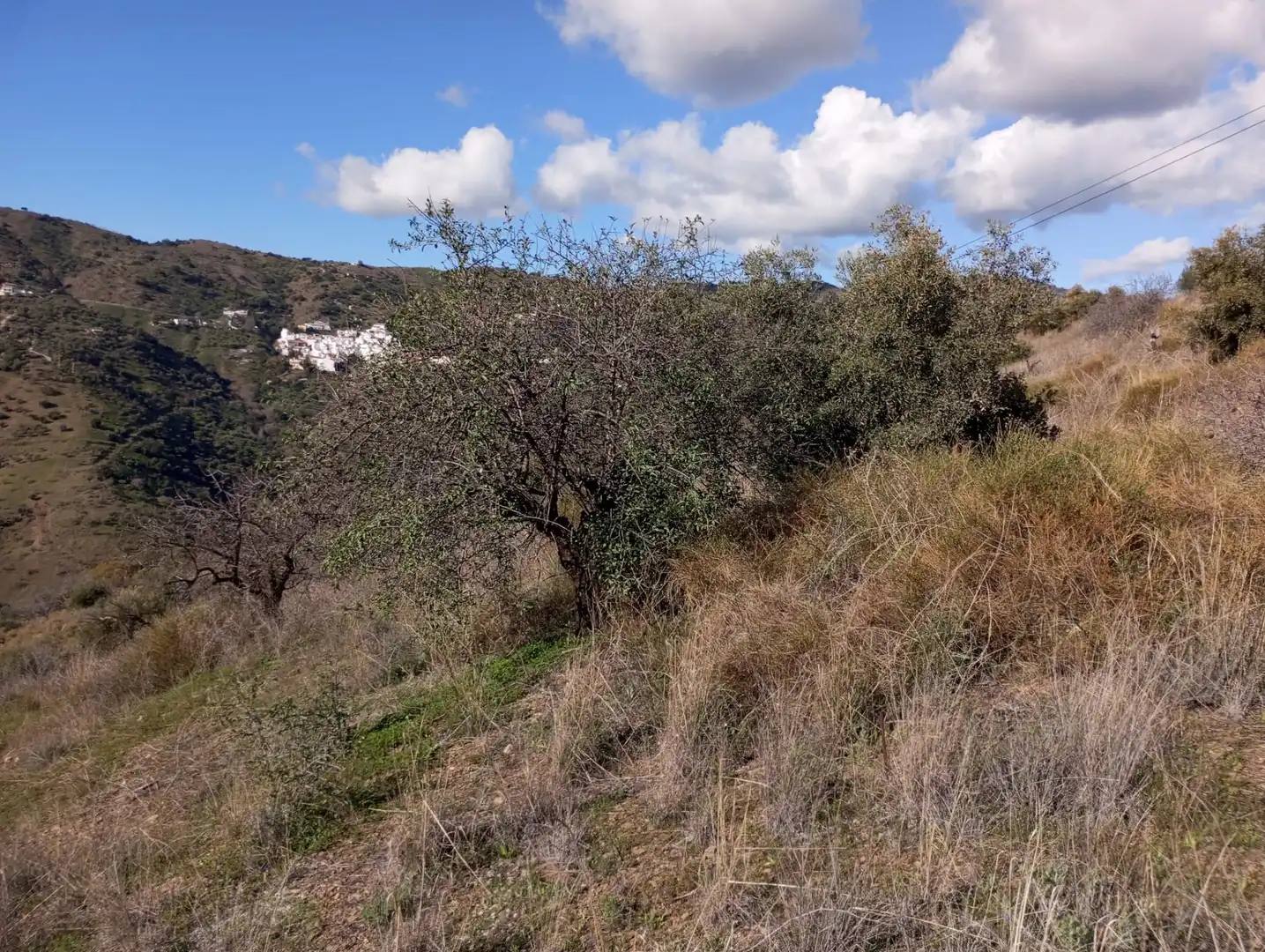 Land for sale in Málaga