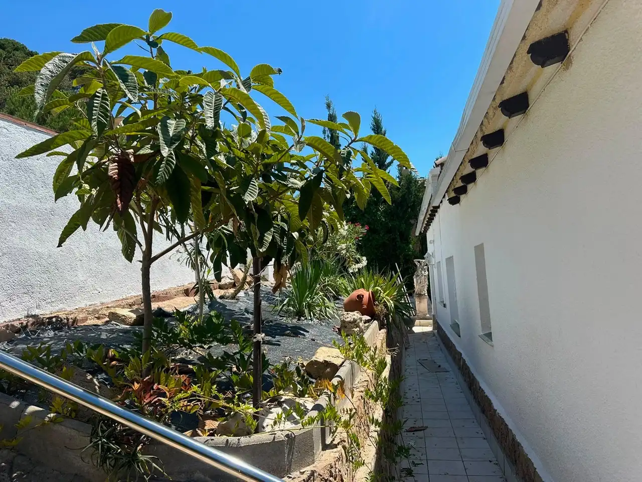 Casa con jardín en venta en Carrer fonoll 11, imagen 6