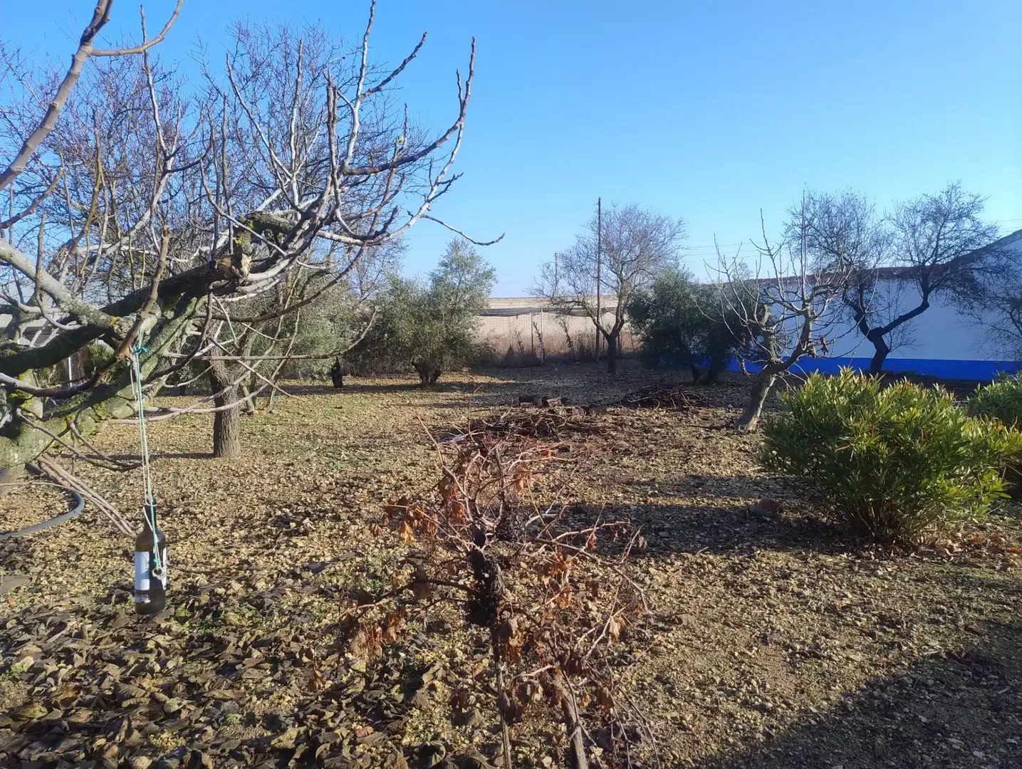 Casa o xalet en venda en Ciudad Real amb Traster