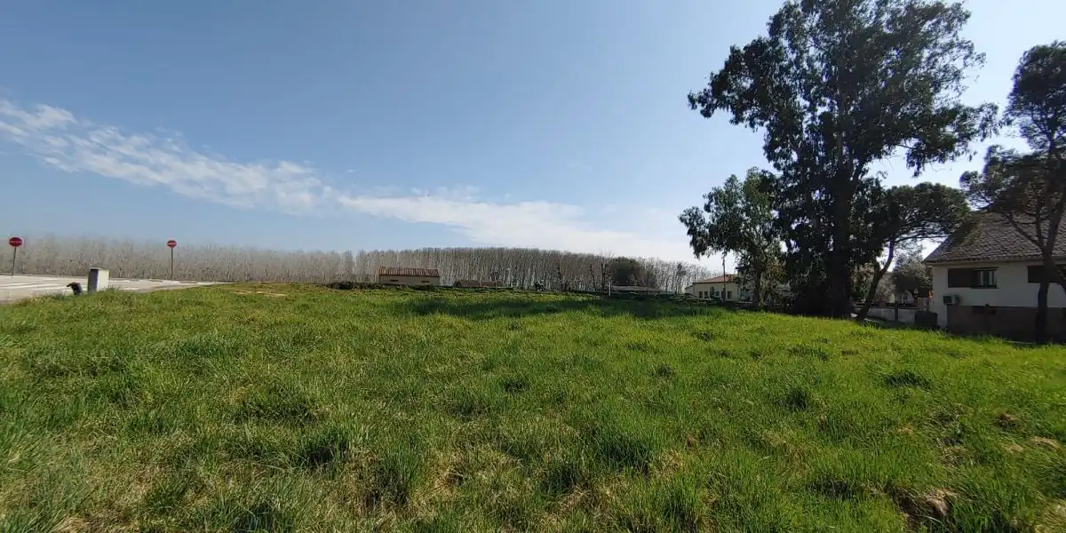 Terreni e lotti in vendita a Riudarenes, imagen 4