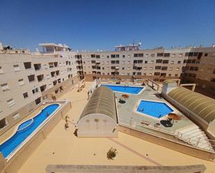 Swimming pool of Attic for sale in Torrevieja