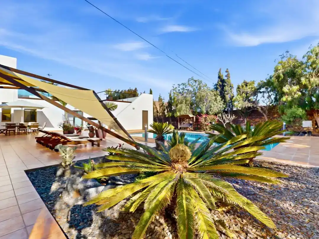 Jardí de Finca rústica en venda en La Oliva amb Jardí privat i Piscina