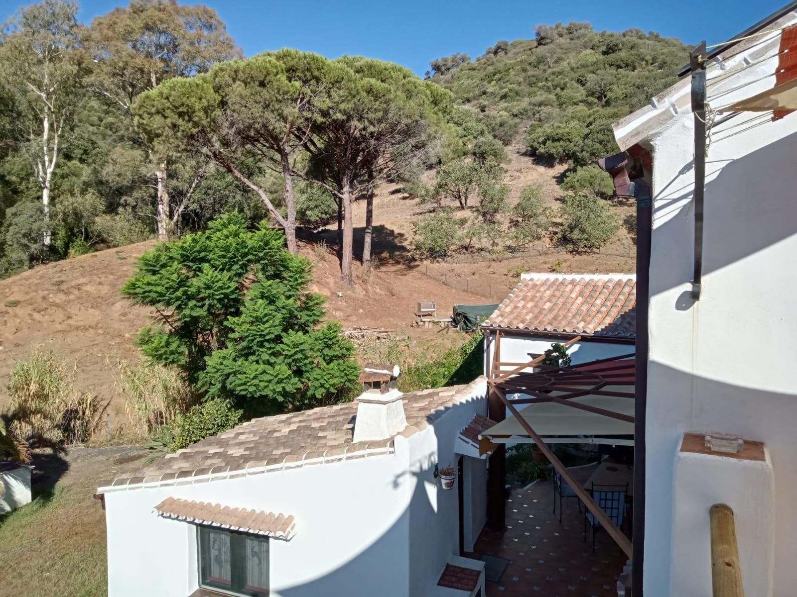 Garden of House or chalet for sale in Casares  with Terrace and Swimming Pool