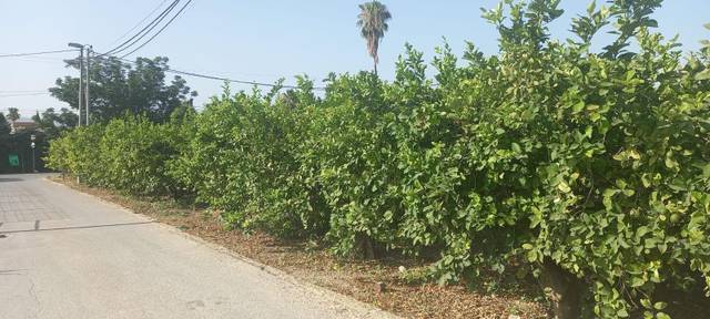 Terreno residencial en Venta en Rincón de Seca