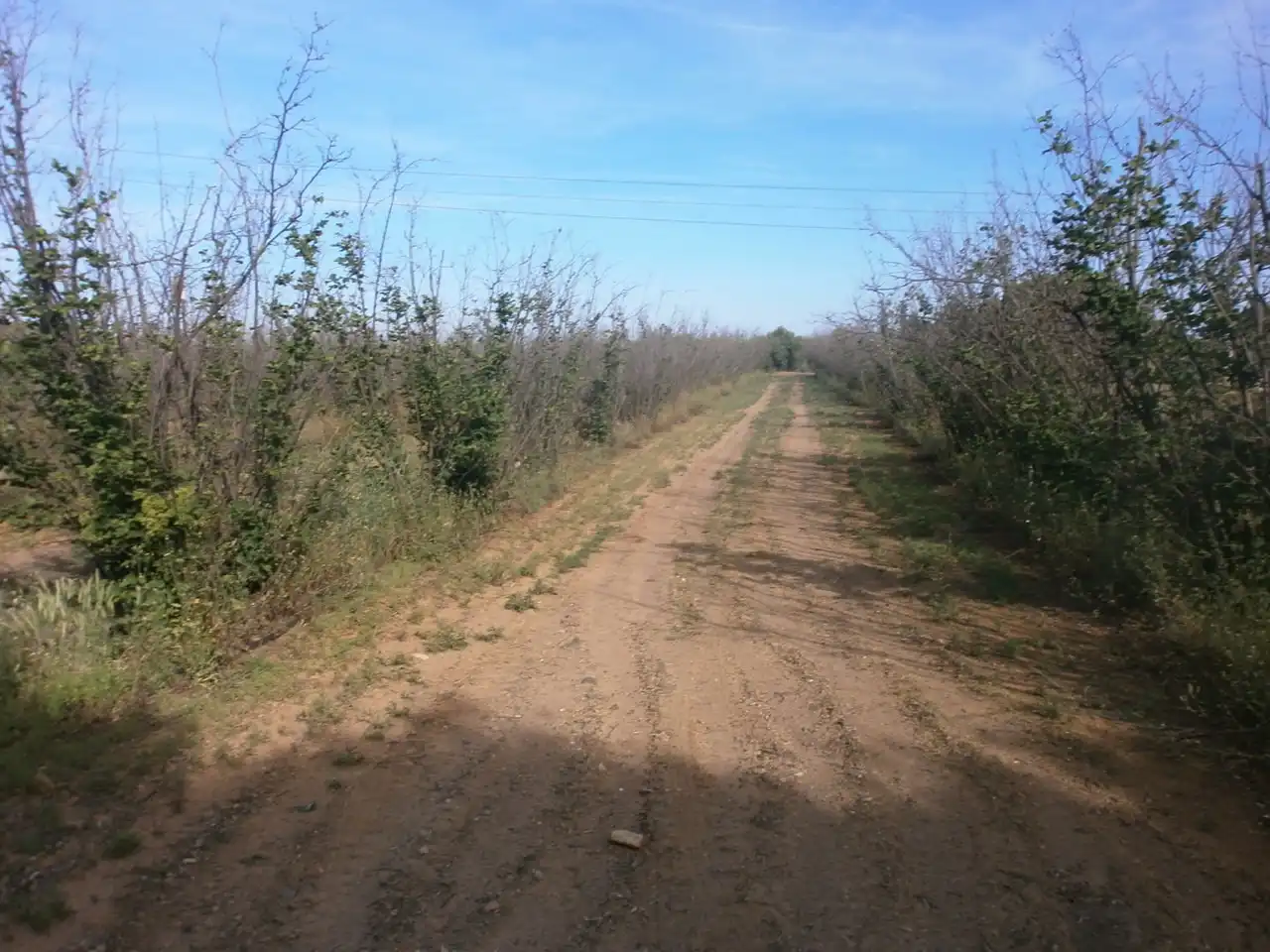 Rural land for sale in Camí del Recreo 25, imagen 18