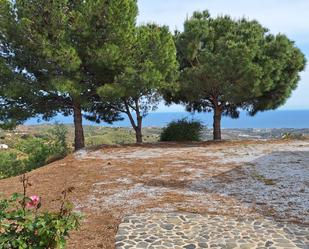 Jardí de Finca rústica de lloguer en Vélez-Málaga amb Jardí privat, Terrassa i Piscina