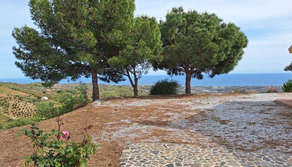 Foto 1 de Finca rústica de lloguer a Camino Viejo de Málaga, Málaga