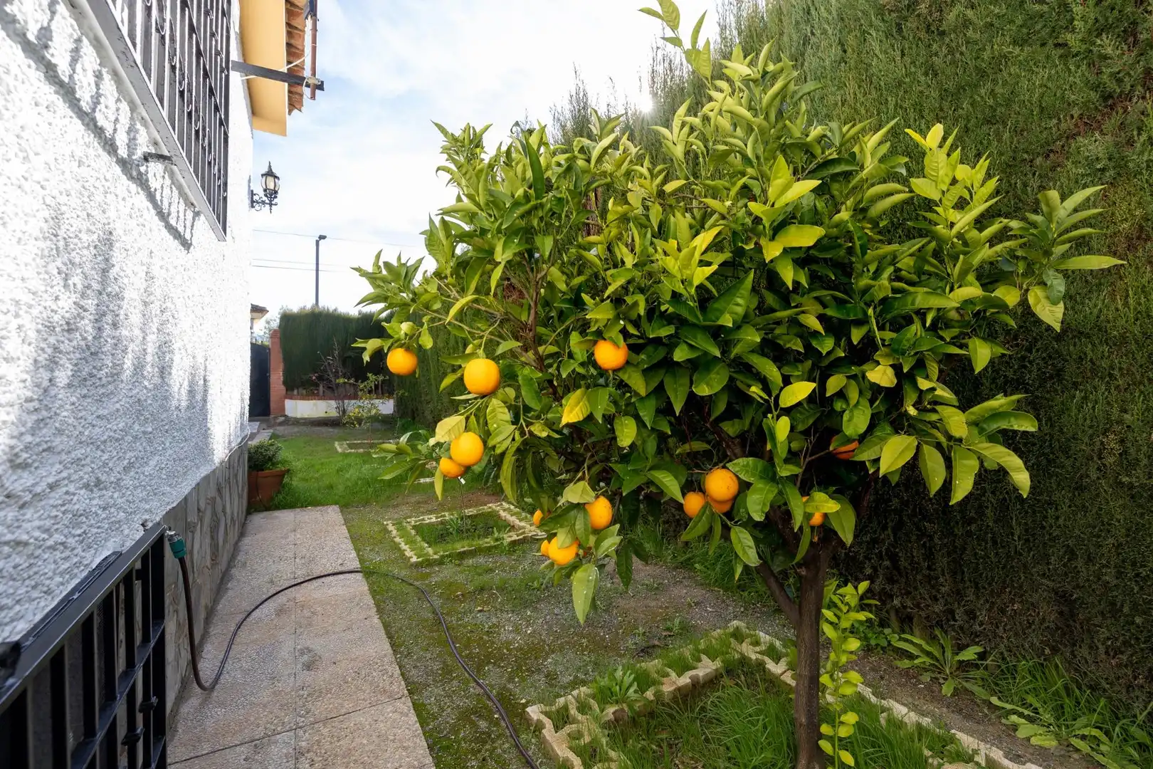 Chalet con piscina en venta en Calle ALIJARES 43, imagen 62