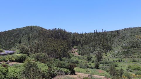 Photo 4 of Residential for sale in N/a, Los Silos, Santa Cruz de Tenerife
