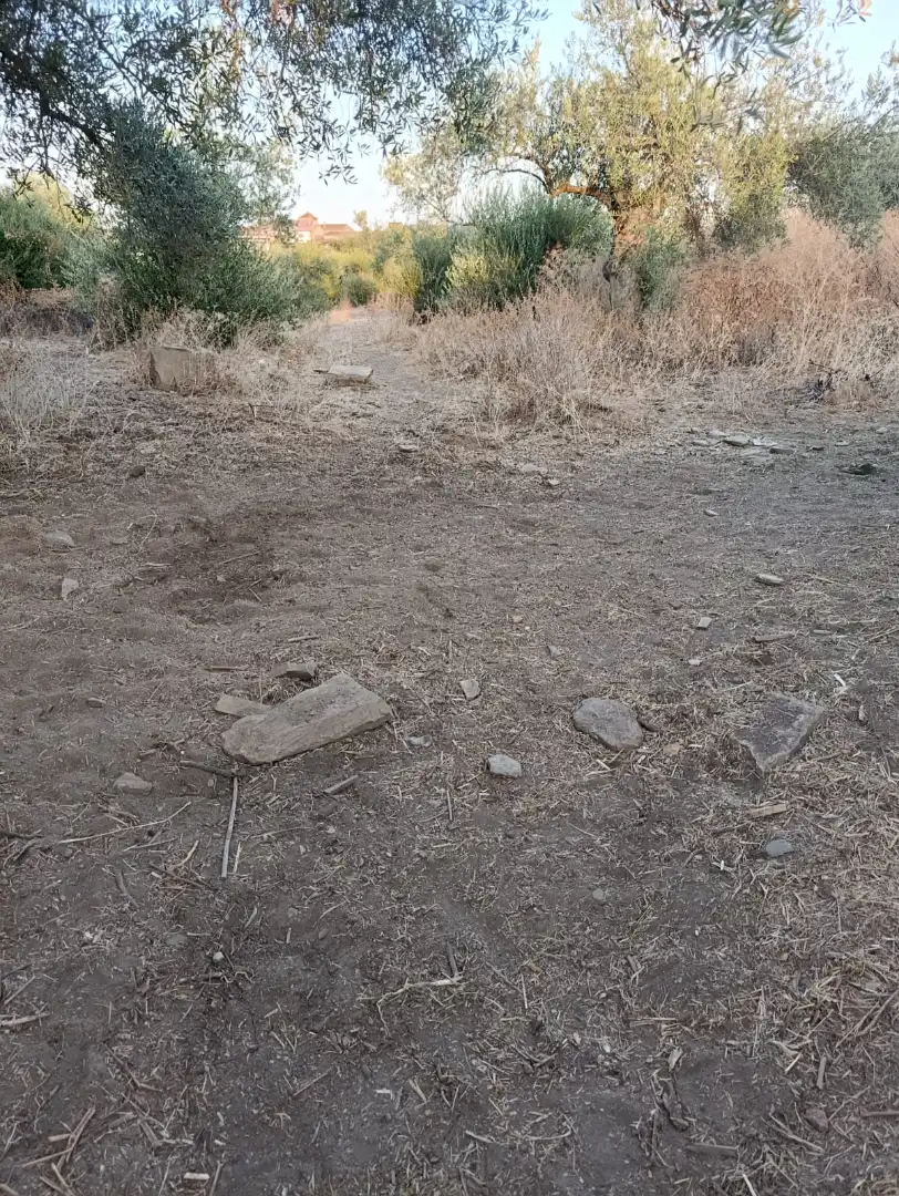 Residential land for sale in Calle San Francisco 43, imagen 3