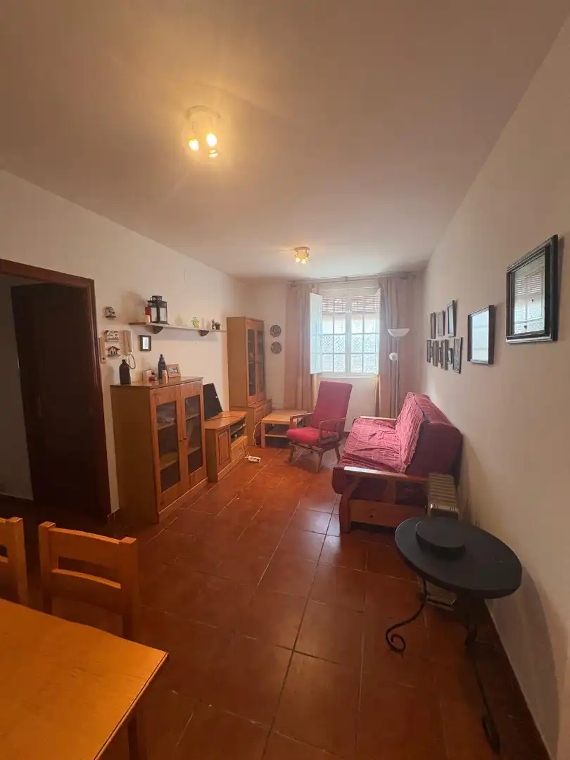 Sala de estar de Piso en venta en Alanís