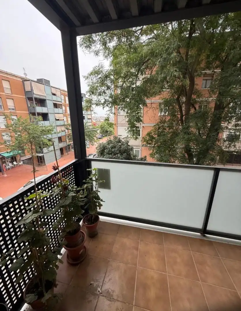 Pis amb terrassa en venda a Carrer de Palamós, imagen 6