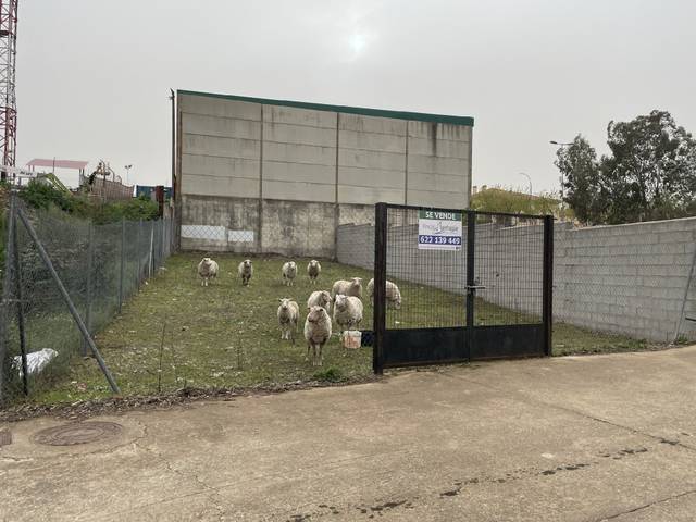 Terreno residencial en Venta en Malpartida de Plasencia