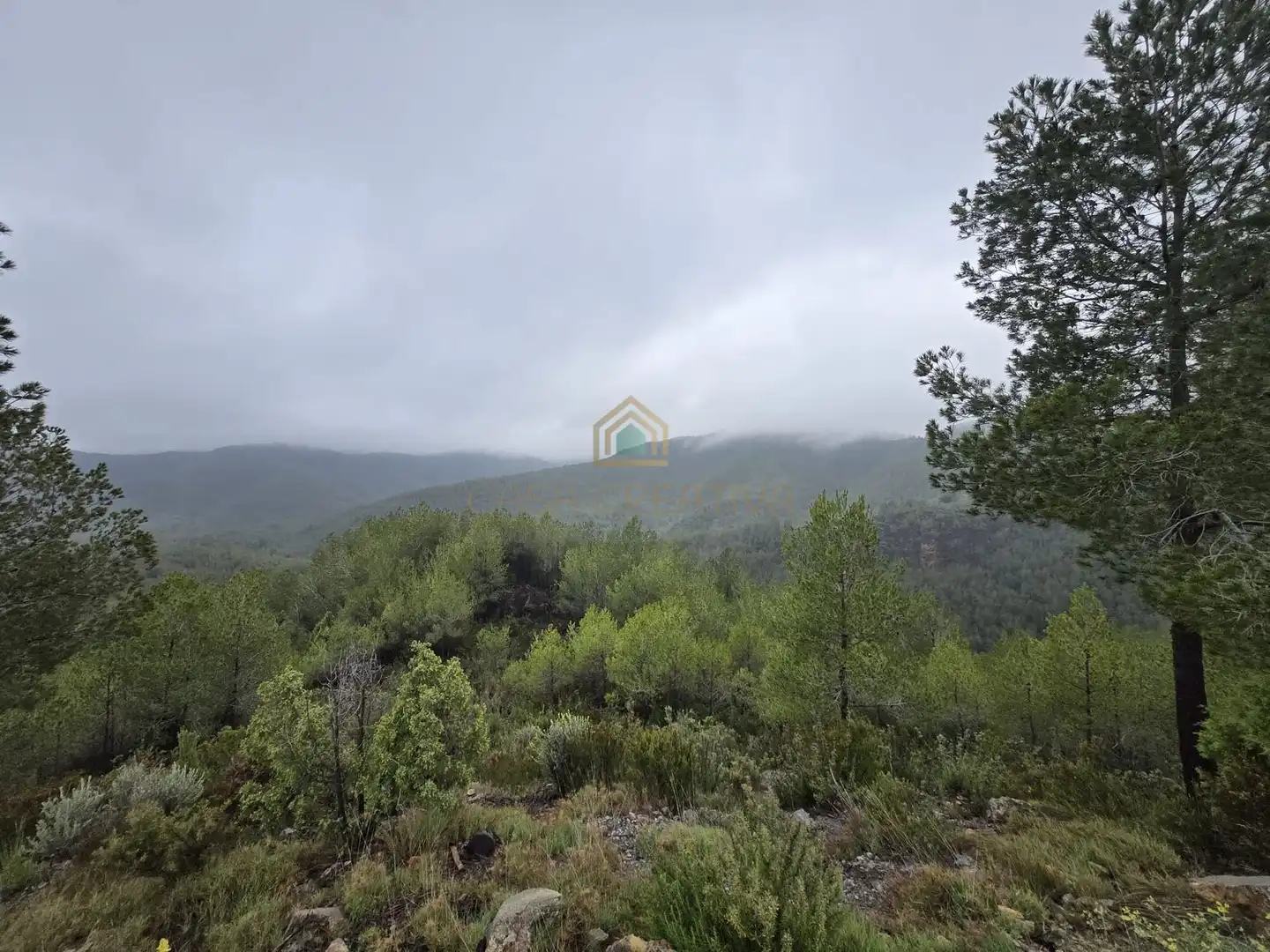 Casa o chalet en venta en Torralba del Pinar