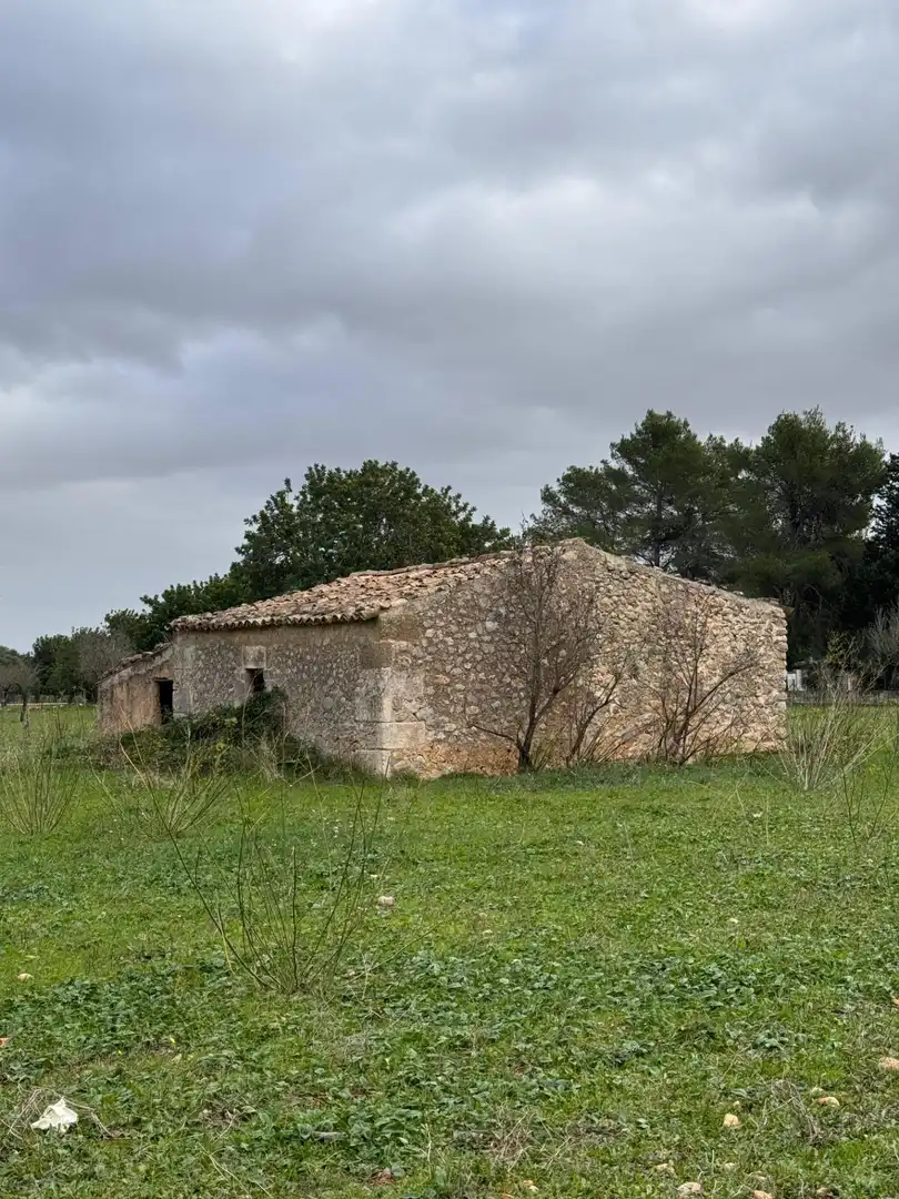 Terreno residenziale in vendita a Camino Selva, imagen 19