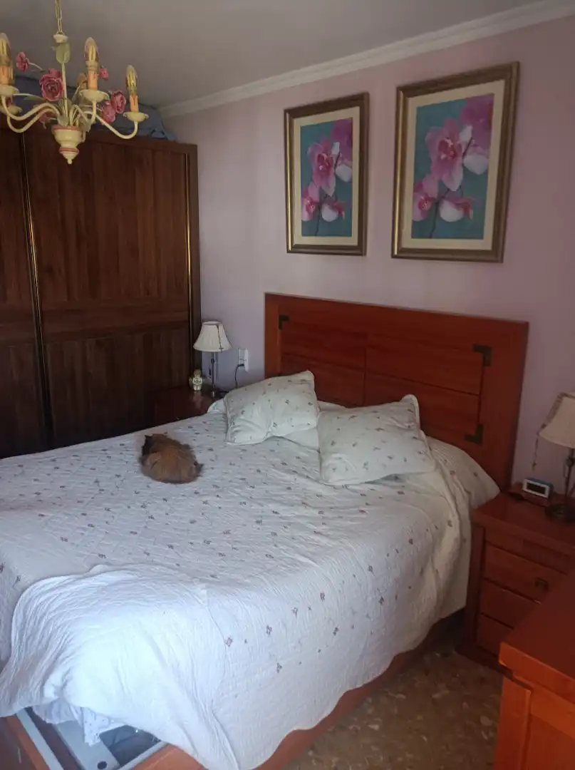 Wohnung mit Pool zum Verkauf in Calle Doctor Fleming 44, imagen 33