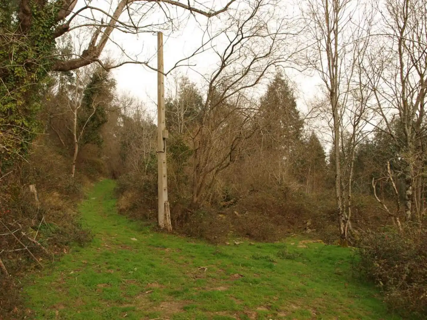 Terreni e lotti in vendita a Presillas Las - Barrio Santa María del Monte, imagen 8