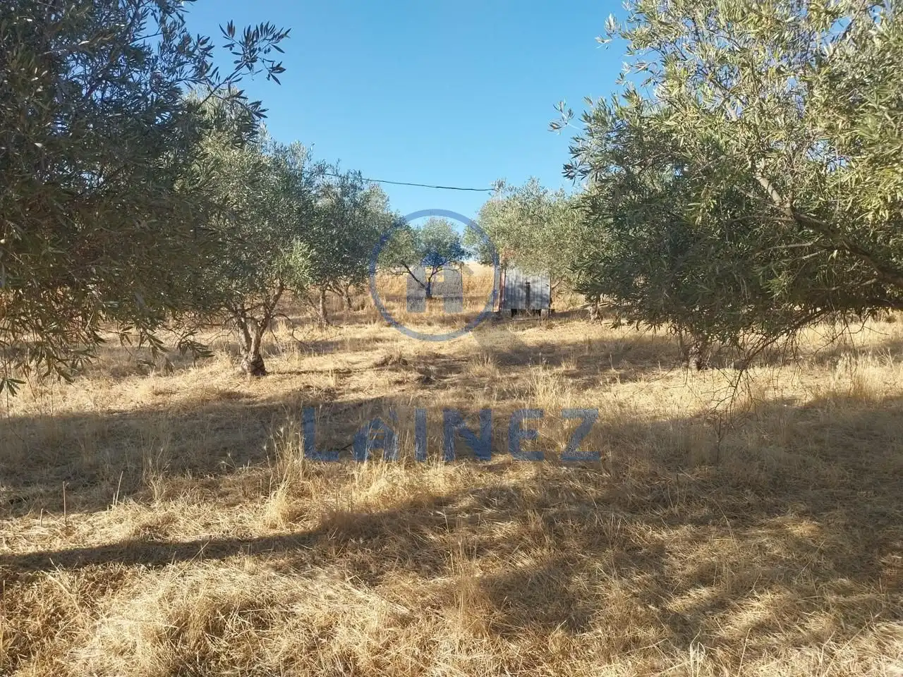 Nave industrial en venta en Peñarroya-Pueblonuevo