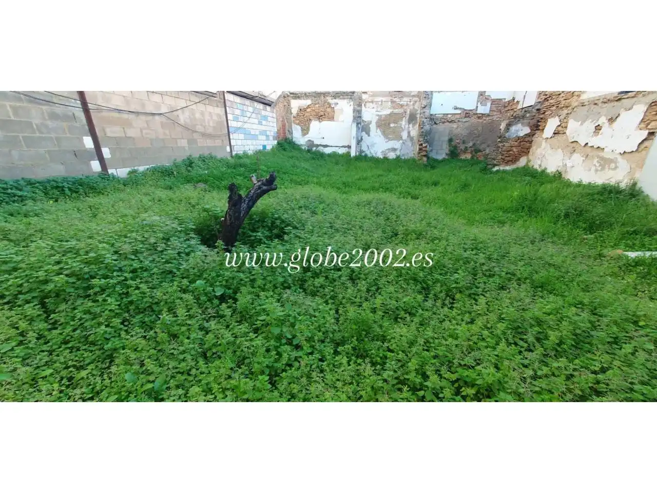 Terreni e lotti in vendita a El Carmen