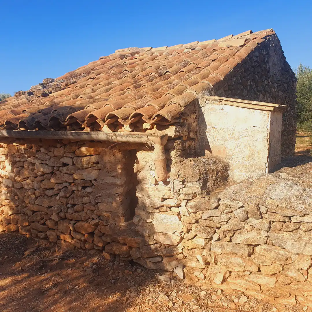Terrain rustique à vendre à Tivenys, imagen 13