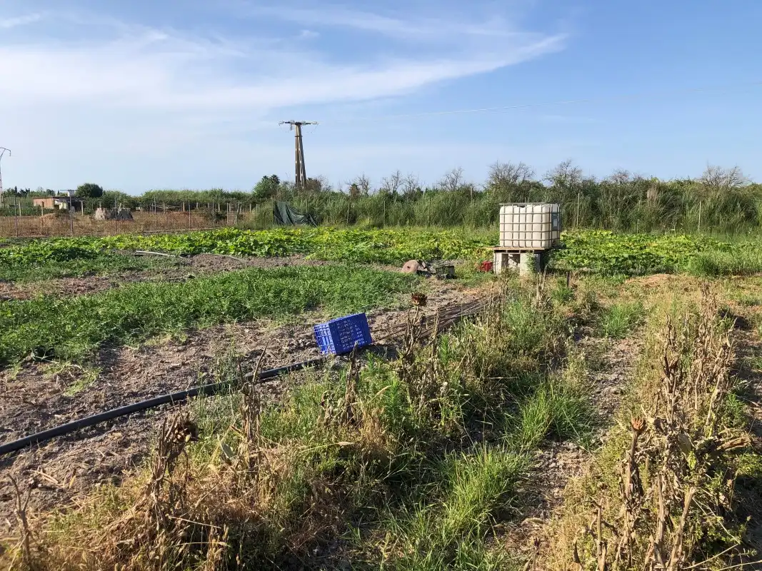 Terreno en venta en Gandia