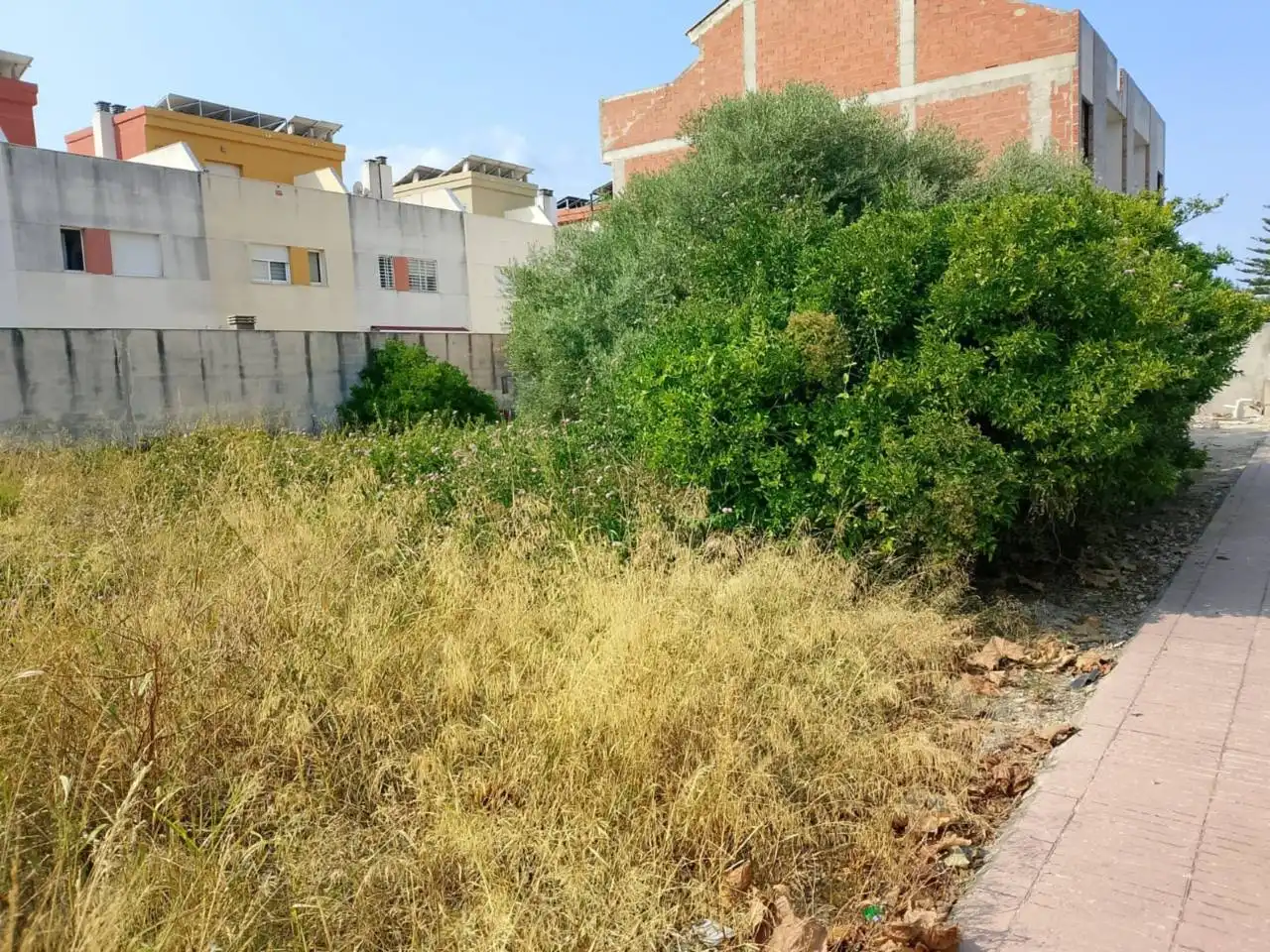Land for sale in Calle Botánico Cabanilles, Piles