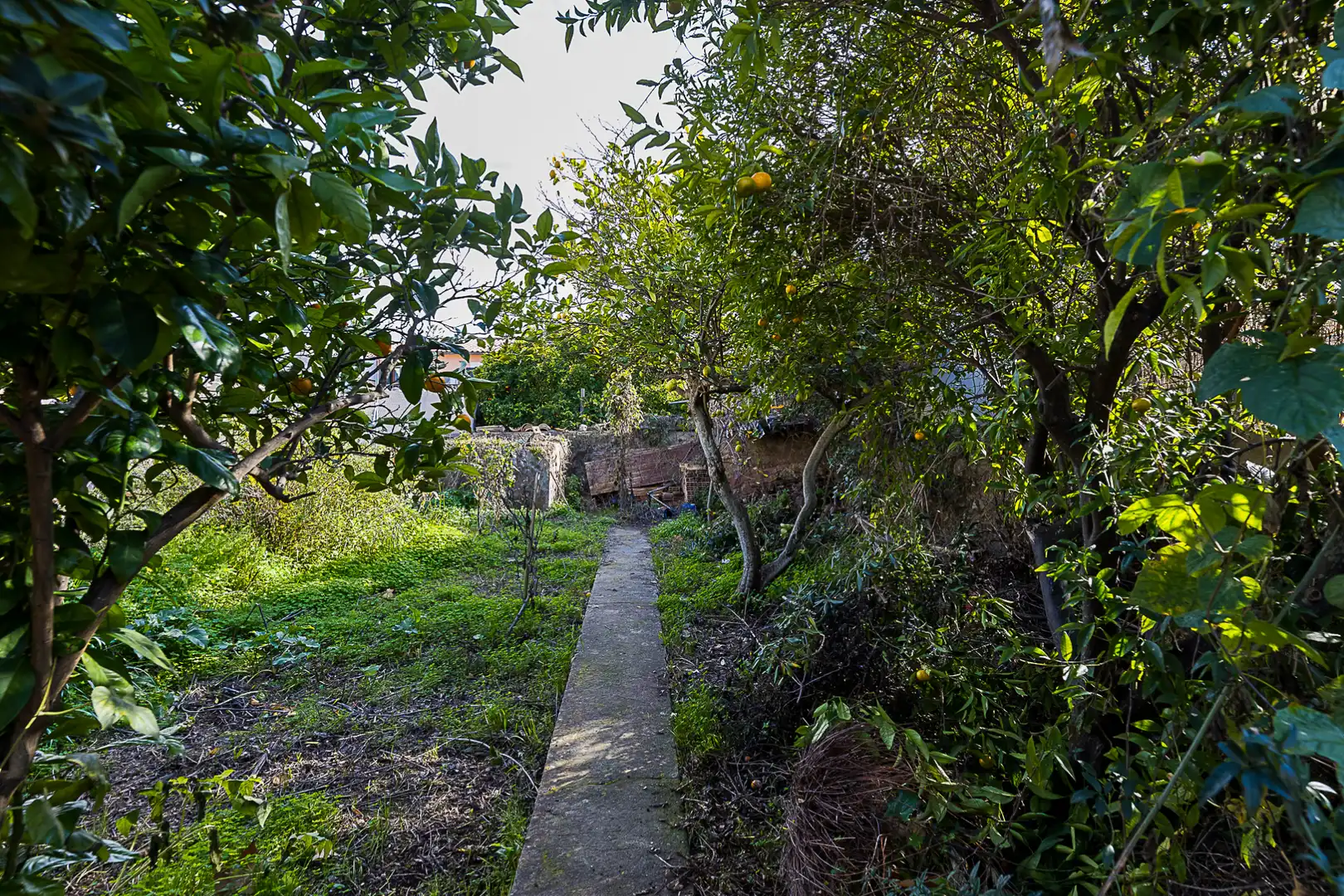 House with garden for sale in Esporles, imagen 31