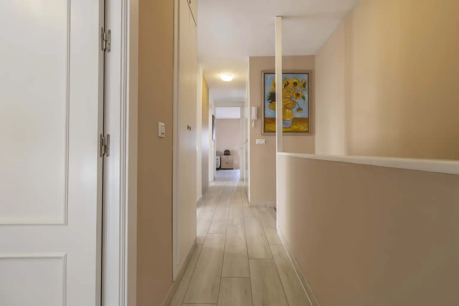 Detached homes for sale in Palmete