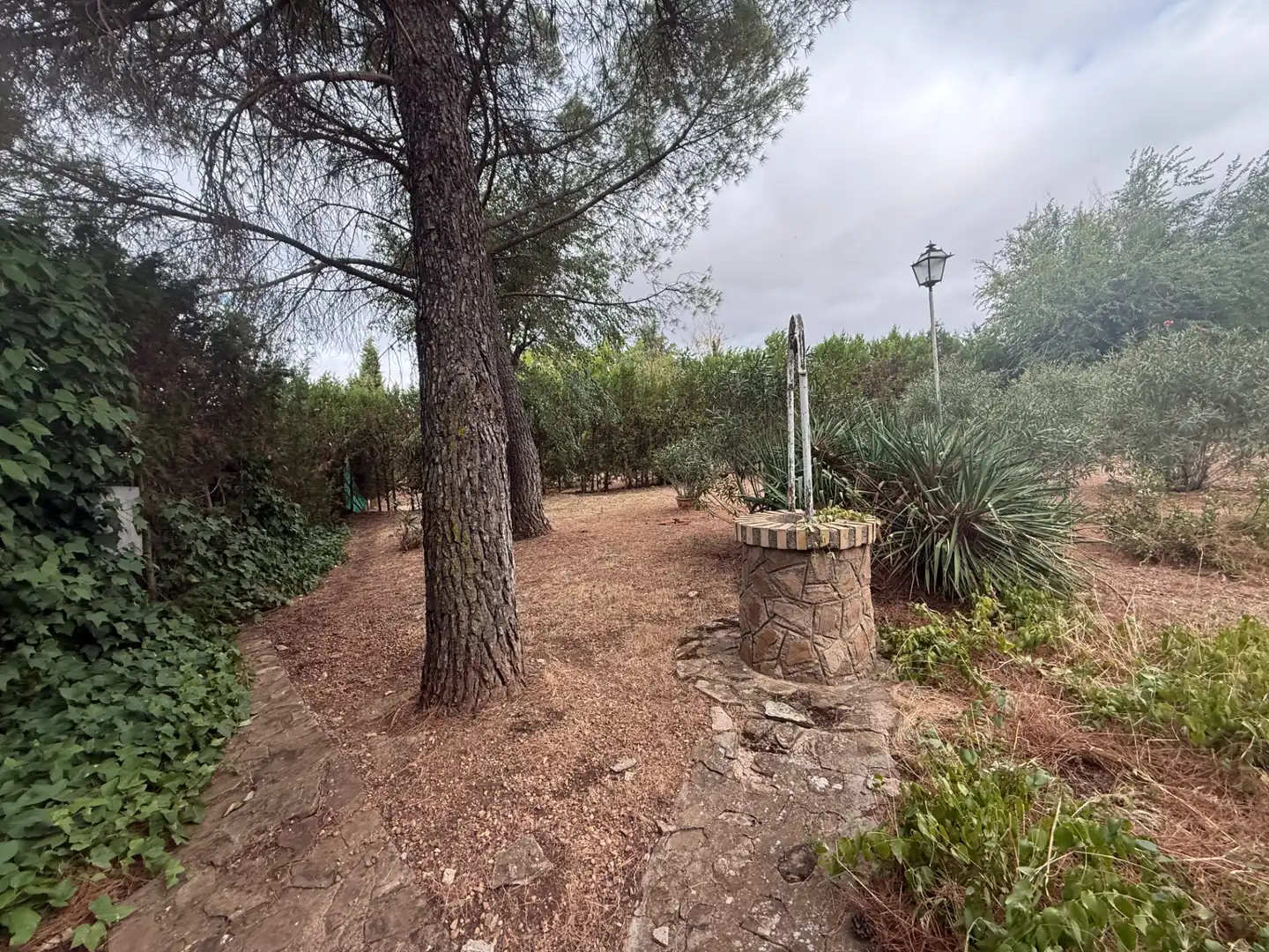 Casa o chalet en venta en Poblete con Aire acondicionado, Jardín privado y Piscina