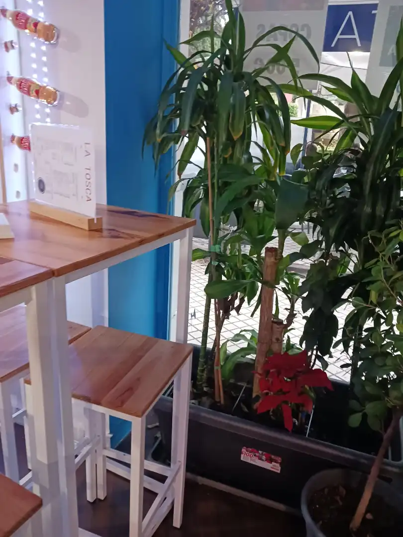 Local en traspaso en Ciudad Real con Aire acondicionado, Terraza y Amueblado