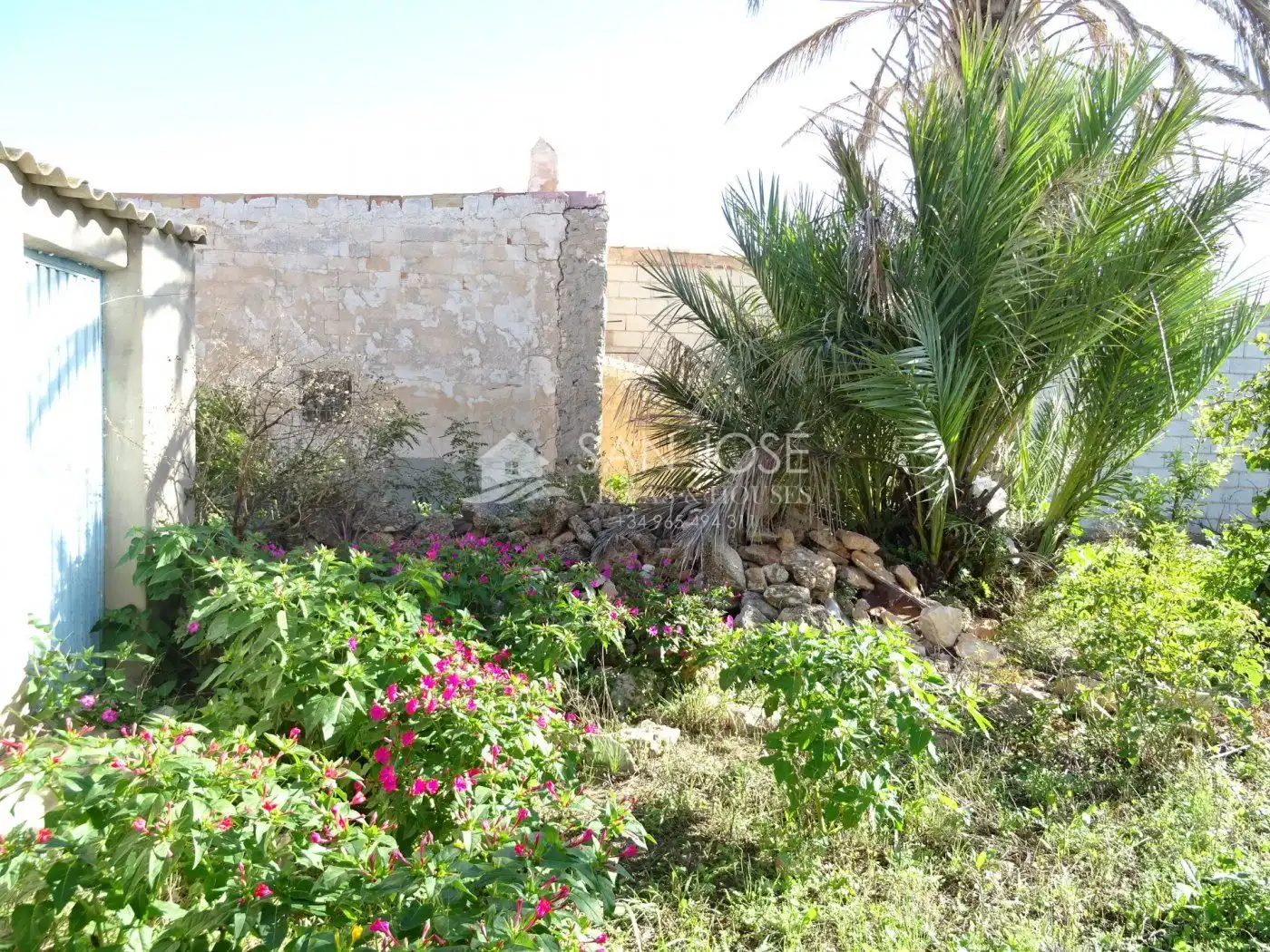 Casa rústica con jardín en venta en Hondón de las Nieves / El Fondó de les Neus, imagen 20