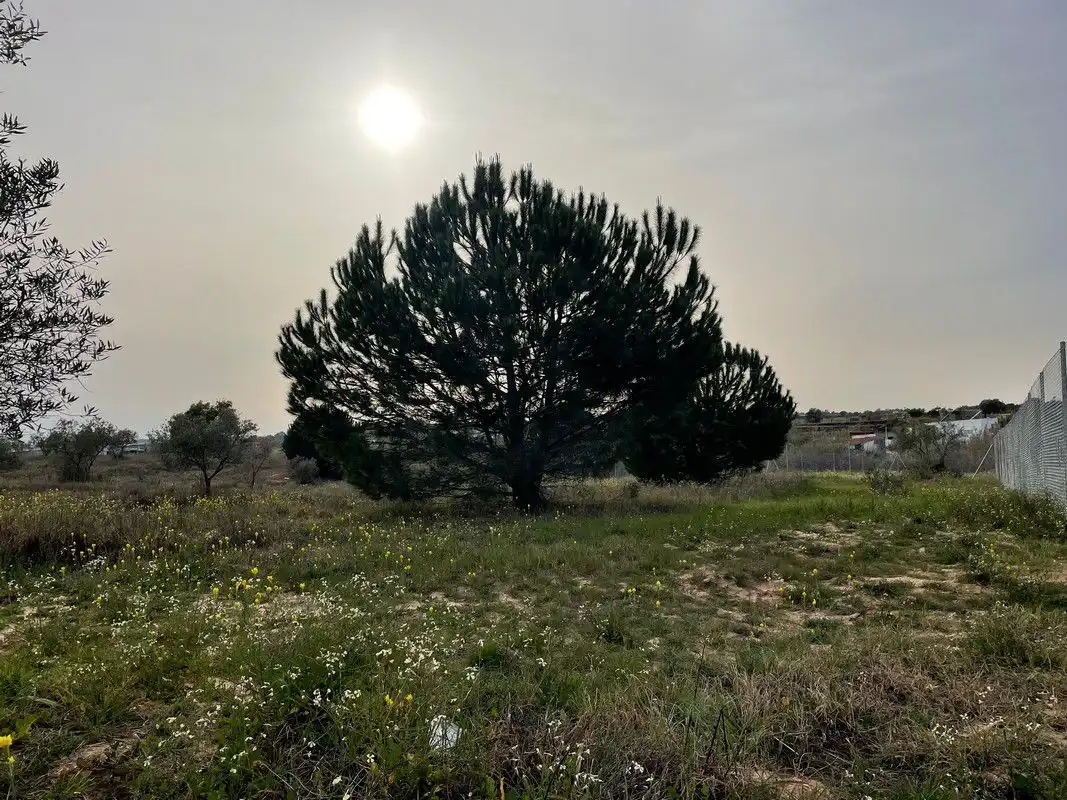 Finca rústica en venta en La Palma del Condado