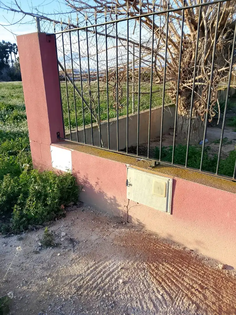 Jardín de Finca rústica en venta en Daya Nueva