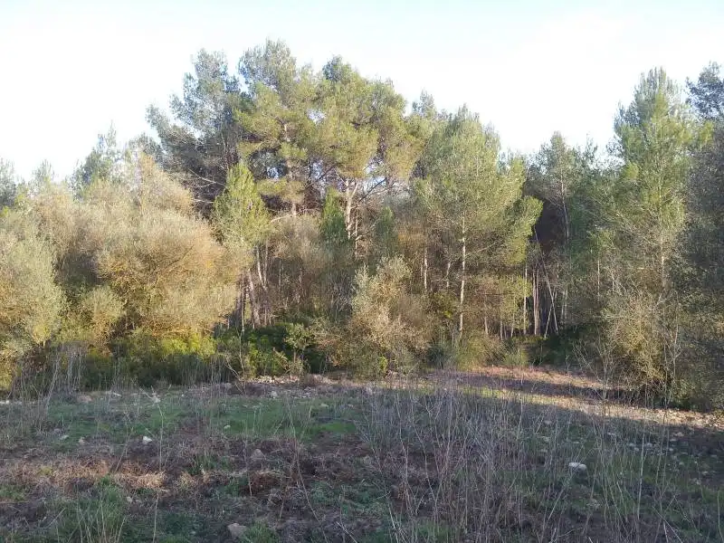 Casa rústica en venda a Camino de Jafra a Olivella, imagen 4
