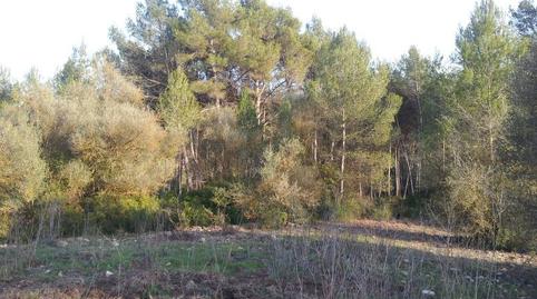Foto 4 de Finca rústica en venda a Camino de Jafra a Olivella, Olivella, Barcelona