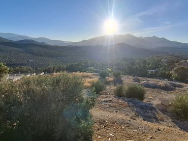 Terreno residencial en venta en Calle Vega de Sánchez 28