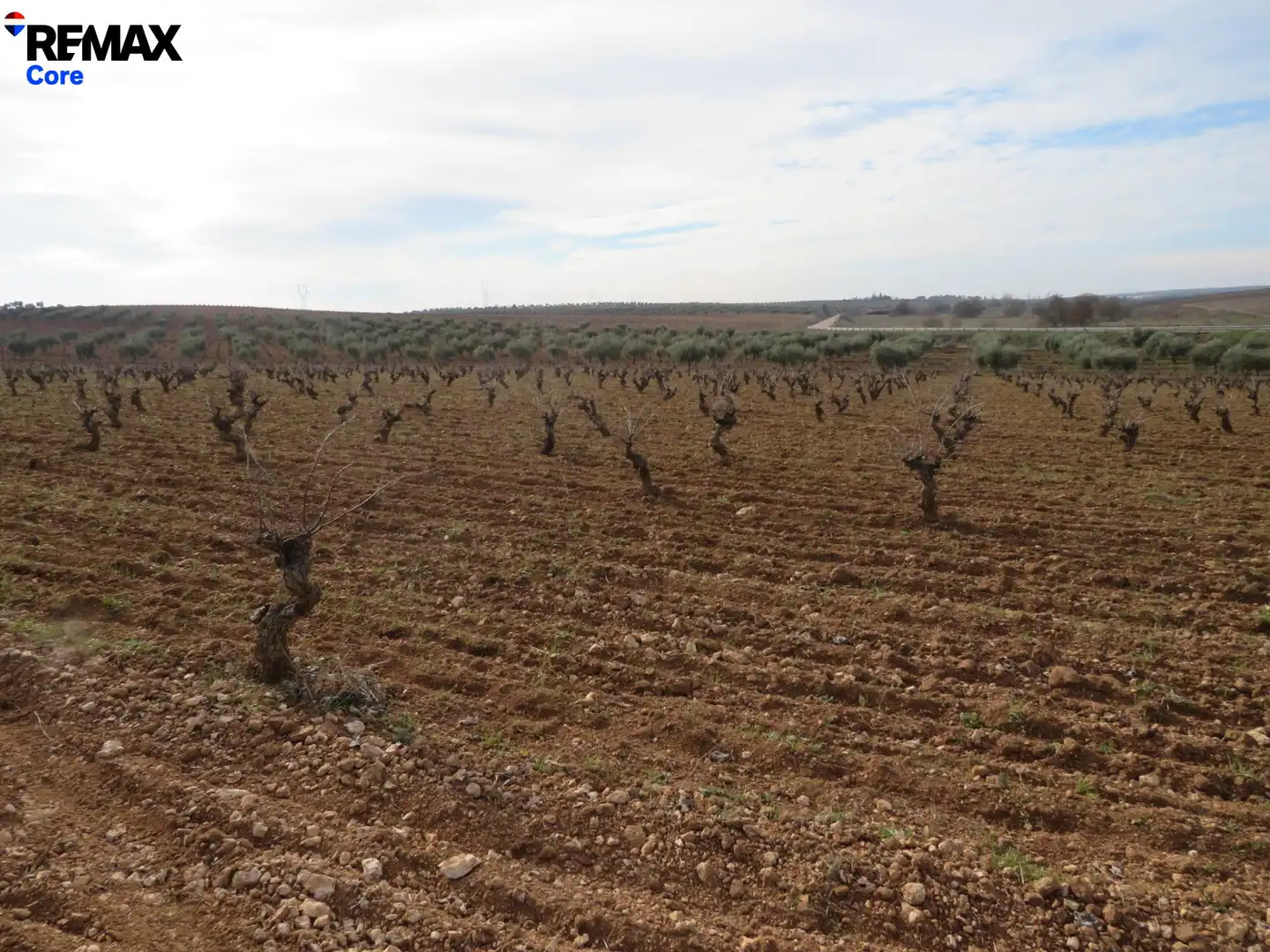 Grundstücke zum Verkauf in La Zarza (Badajoz)